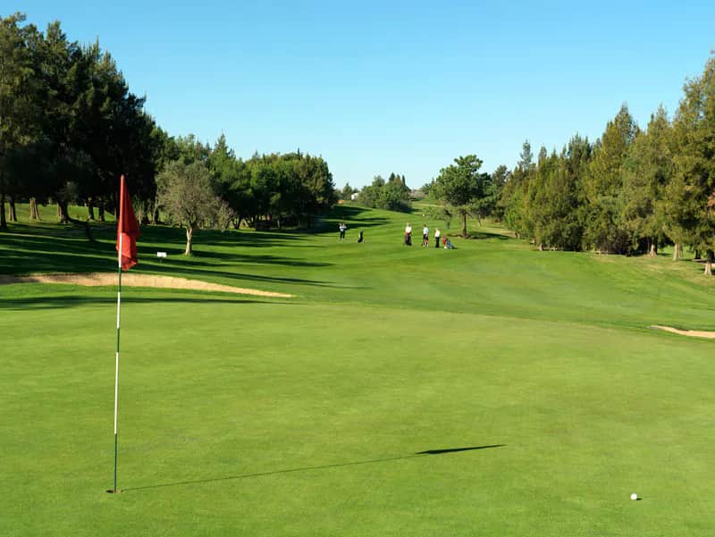 Alto Golf golf club